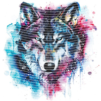 Animal Integration-DW 839